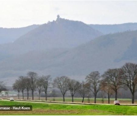 Gite De L'Aubach Ebersheim Экстерьер фото