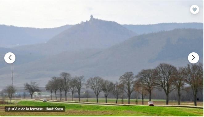 Gite De L'Aubach Ebersheim Экстерьер фото